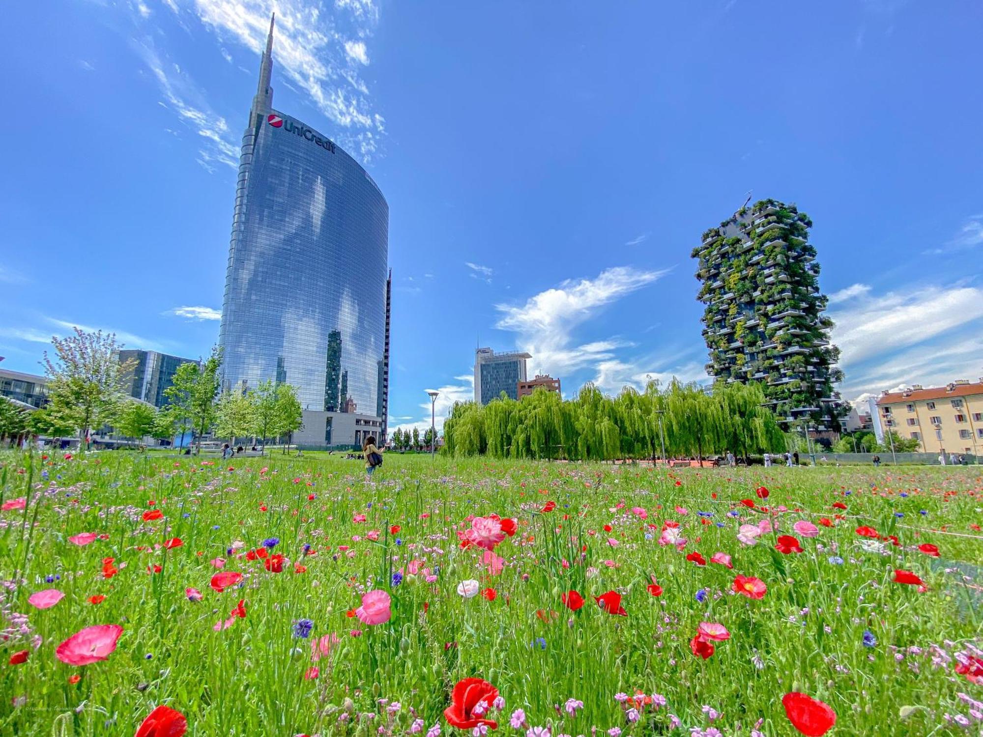 Castillia 22 - Terrazza Sul Bosco Verticale Mailand